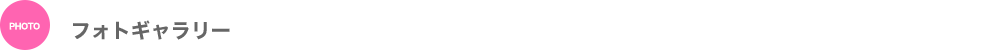 フォトギャラリー